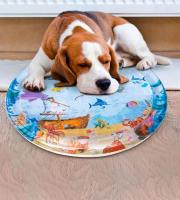 Alfombra De Agua Para Mascotas De Verano Alivio Del Calor Inflable Sensory Matriz De Juguete De Nylon Para Perros - details 2