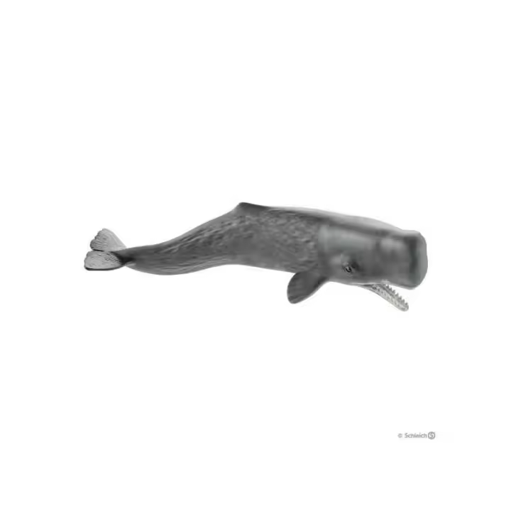 Figura Schleich Cachalote Realista - Juguete de Correpasillos Educativo - 1