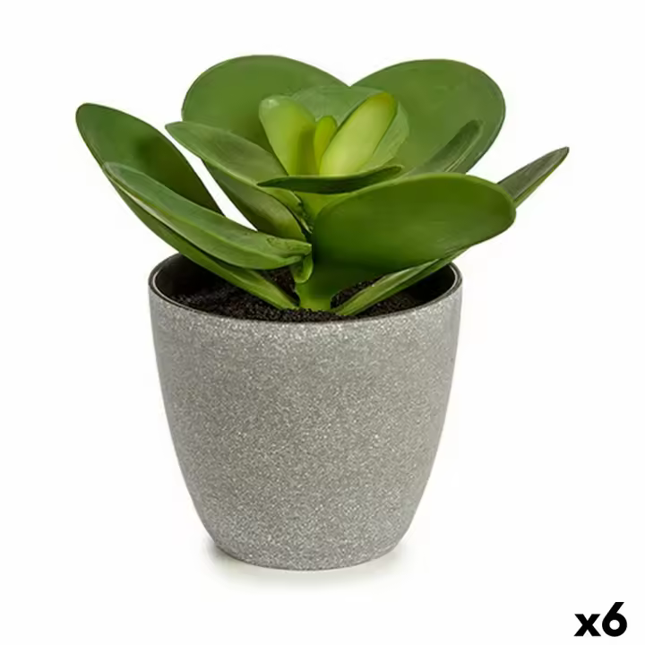 Planta Decorativa Ibergarden YC184572 Plástico 18 x 18,5 x 18 cm (6 Unidades) - 1