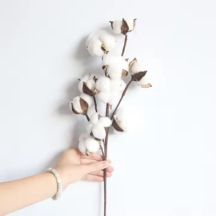 Rama De Algodón Artificial Blanca Para Decoración De Bodas Y Fiestas Flores Falsas Para El Hogar Y Exposiciones Con Hojas De Eucalipto - 1