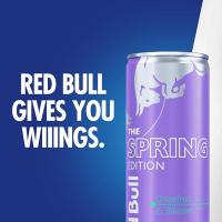 Caja de Red Bull Morado Pomelo Rosado Edición Primavera Bebida Energética - 24 unidades de 250ml - details 2