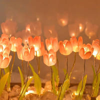 20PCS Luz Nocturna De Tulipán DIY Hecho a Mano Marco De Fotos Decoración De Hogar Atmosfera Regalo De San Valentín Navidad Cumpleaños - details 5