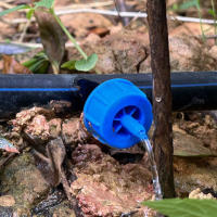 Emisores De Rociador De Compensación De Presión 100-300pcs Ajustables Para Riego Por Aspersión En Jardín Y Césped 2L/4L/8L - details 5