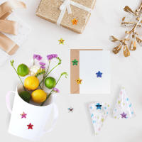500PCS/Roll De Parches Estelares Coloridos Para Niños Recompensa Escuela Aula Adhesivos Estelares Para Profesores Padres DIY Manualidades - details 5