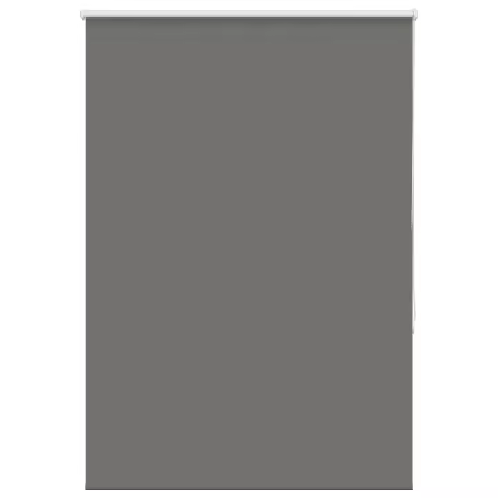 vidaXL Estor Enrollable Opaco gris 105x175 cm Tela Ancho 100,7 cm - 1