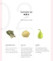 Beauty of Joseon Dynasty Cream 50ml – Crema Hidratante Antiedad con Ginseng, Niacinamida y Escualano – Nutrición Profunda y Luminosidad para Todo Tipo de Pieles – Cosmética Coreana - details 0