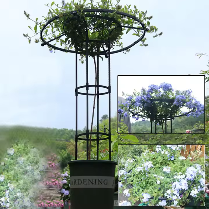 Jardín enrejado para plantas y flores trepadoras, enrejado de plantas de metal para uso al aire libre snngv - 1