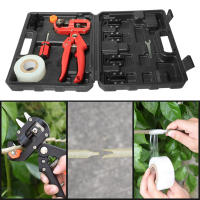 Juego De Tijeras De Enraizamiento Profesional Para Jardín Y Agricultura Corte De Frutas Arbolado Herramienta De Podar - details 4