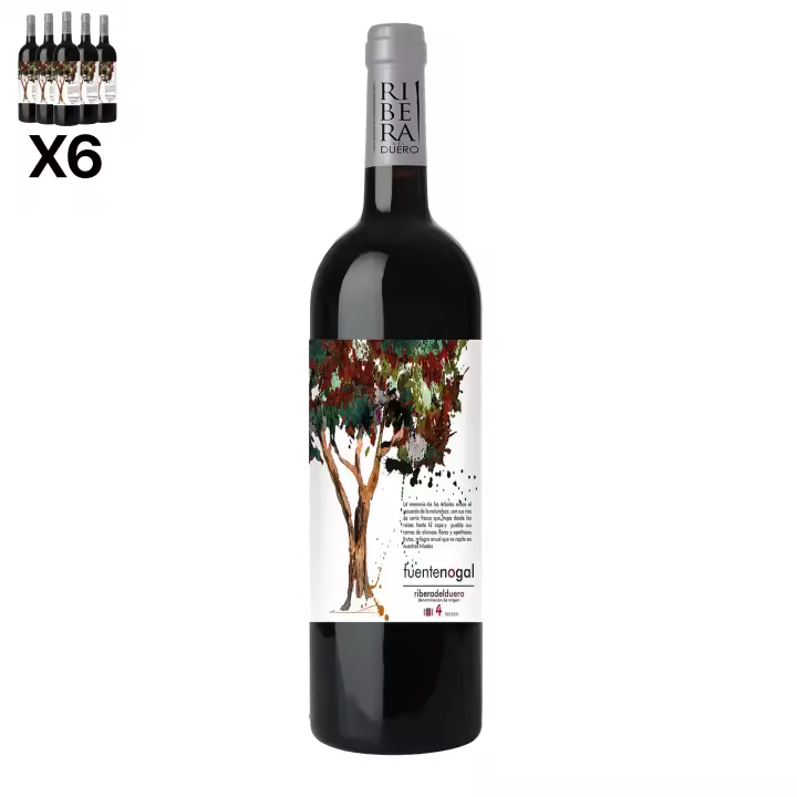 ARTE SABOR Caja de 6 botellas de vino Fuentenogal Roble. Ribera del Duero, crianza de 4 meses en barrica de roble americano. Vendimia del 2023. 75cl con 14,5% vol. 7x7x32 Cm. - 1