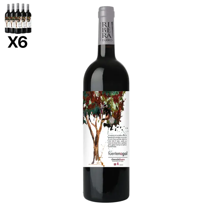 ARTE SABOR Caja de 6 botellas de vino Fuentenogal Roble. Ribera del Duero, crianza de 4 meses en barrica de roble americano. Vendimia del 2023. 75cl con 14,5% vol. 7x7x32 Cm. - 1