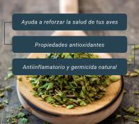 Orégano para Gallinas y Aves de Corral - Propiedades Antiinflamatorias y Germicidas - 150 G - FINCA CASAREJO - details 2