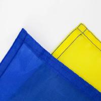 Bandera De Ucrania Azul Amarilla 90x150 Cm Para Decoración Material Poliéster Estilo Volador Impresión En Polartec - details 4