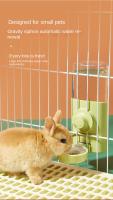 Cacerola De Alimentación Y Agua Automática Para Mascotas Pequeñas 500ML Plástico Adecuado Para Perros Gatos Pájaros Conejos Pigeon Parrot Colgante Para Jaula - details 12