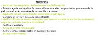 Pack 3 aceites ecológicos Árbol del té Noresenza - 100% puros y naturales - BIONATURE GALICIA - details 2