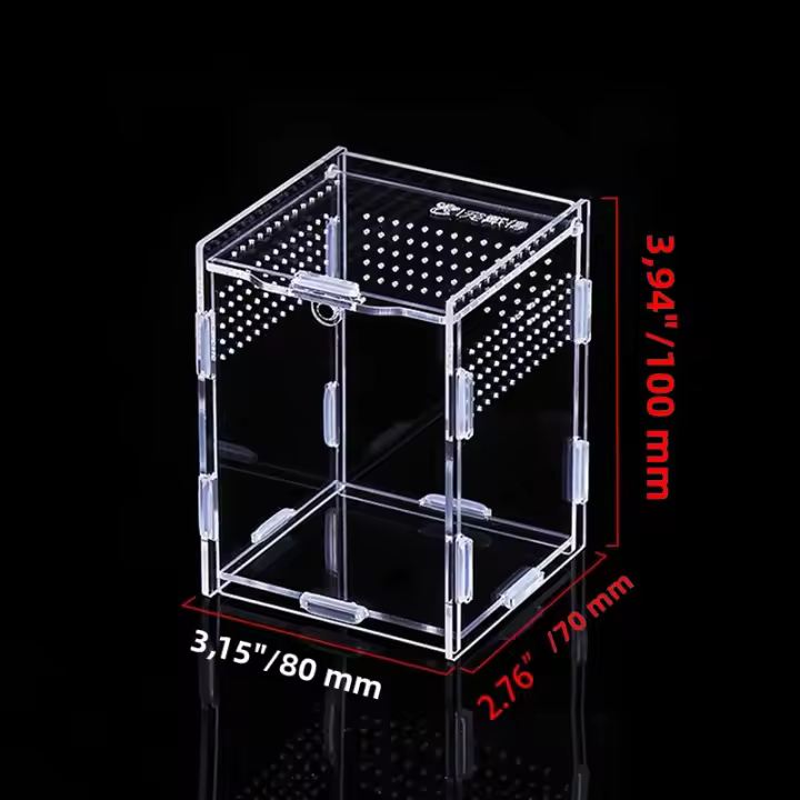 Caja De Alimentación Para Reptiles De Acrílico Terrario Transparente Hogar Para Insectos Araña Lagartos Escorpiones Caja De Encierro Arbóreo - 1