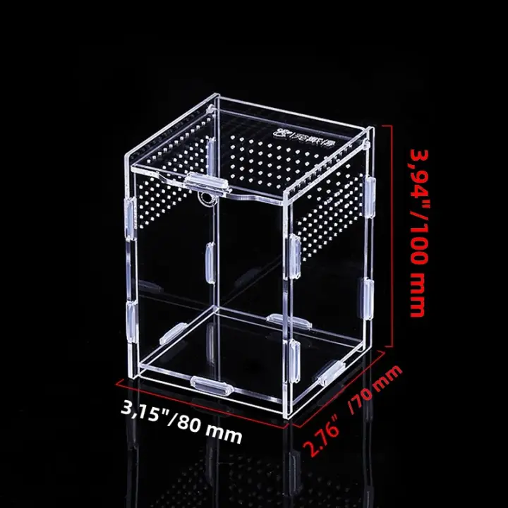 Caja De Alimentación Para Reptiles De Acrílico Terrario Transparente Hogar Para Insectos Araña Lagartos Escorpiones Caja De Encierro Arbóreo - 1