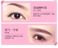 Afeitadora De Cejas Eléctrica Flawless Para Mujeres Elimina Instantáneamente Y Sin Dolor El Vello De Las Cejas Material ABS Fuente De Alimentación Batería Seca - details 7