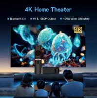 MX10-F3 Stick Android 13.0 2GB 16GB Mini TV 4K Con Wifi Y BT 1080P Precio Good Allwinner H313 TV Stick Box - details 4