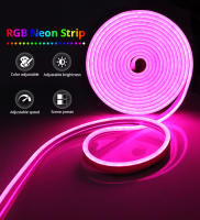 Tira De Luces Neón LED RGB Controlado Por WiFi Y Bluetooth Tuya Smart Life Alexa Google Home Decoración Exterior Jardín IP65 - details 0