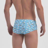 Traje De Baño Para Hombre Bikini Surfeo Shorts Boxer Estilo Tradicional Arco Iris Sexy Ropa Deportiva Para La Playa Y Piscina - details 5