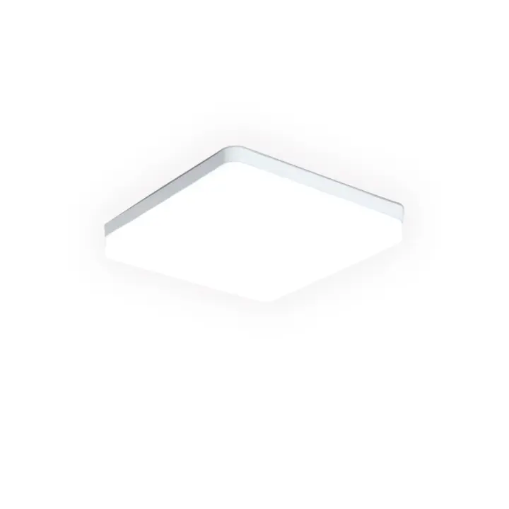 Lámpara De Techo LED Yoom 24W 36W 48W En Blanco Frío Y Cálido Luz Natural Fijación En Superficie Material De Acero Y Acrílico Iluminación Diaria Para Cocina Comedor Dormitorio Foyer Estudio Baño - 1