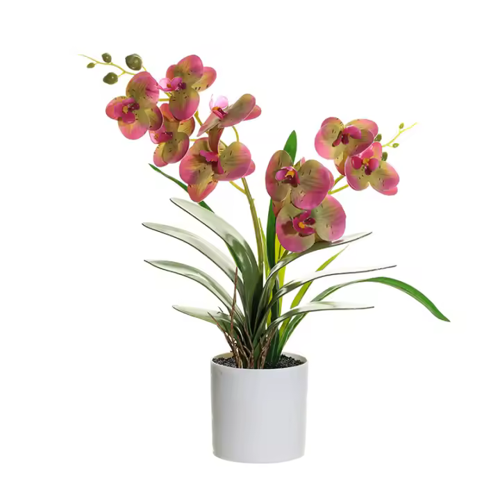 Orquídea Artificial Phalaenopsis En Maceta Planta Verde Para Jardín Oficina Hogar Bodas Y Decoración Interior Estilo Bonsái - 1