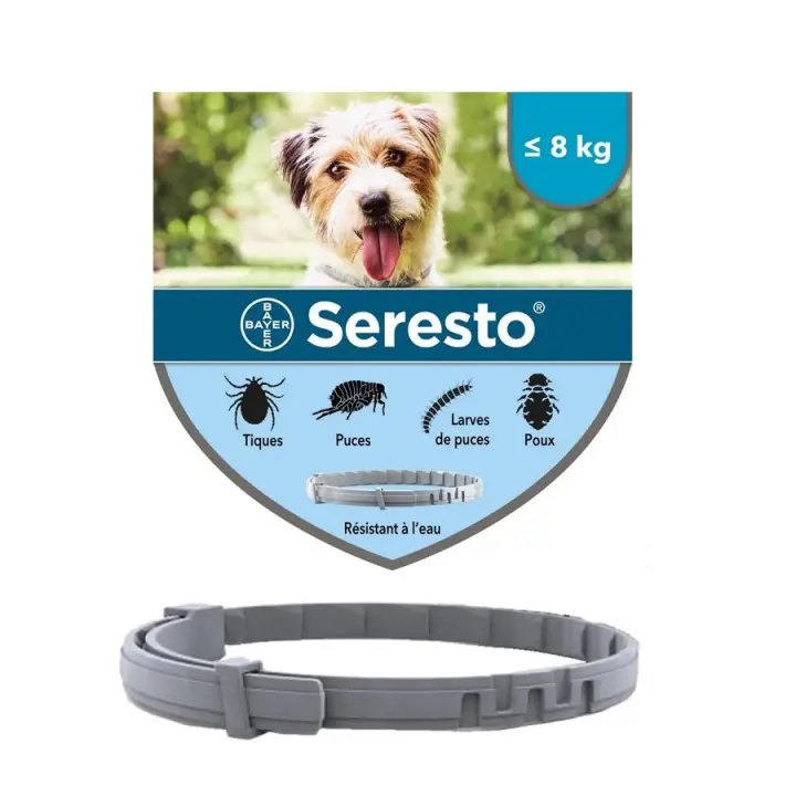 COLLAR PARA PERRO PEQUEÑO 38CM - 1