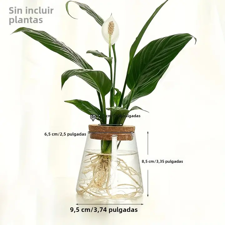 1pc Estación De Propagación De Plantas En Vaso De Vidrio Soporte Para Mesas Decoración Para Oficina Y Hogar Hydroponic Cuttings - 1