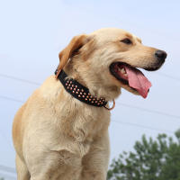 Collar De Cuero Genuino Para Perros Grandes Y Medianos Con Estacas Ajustable Para Rottweiler Algodón De Larga Duración Resistente Para Aleman Shephard Bulldog - details 7