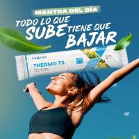 THERMO T3 - Té herbal en polvo con extractos de té verde, rojo y negro (28 sobres) - FUXION - details 1