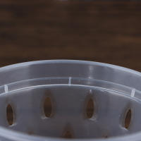 Maceta De Flor Transparente Con Agujeros Para Jardín Y Orquideas Accesorios De Maceta De Plástico Moderno Con Drenaje - details 0