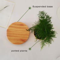 Maceta Flotante Magnética Levitación Para Plantas Sin Tierra Maceta De Rotación Para Decoración Del Hogar Con Diseño De Bonsái - details 13
