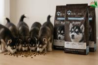 Pienso para cachorros IBERCAN Puppy Ibérico de 15 Kg. Crecimiento fuerte. 32/17. Mejor Calidad-Precio. - details 0