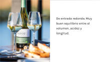 Raimat Chardonnay Ecológico - Caja 6 botellas 75cl - details 4