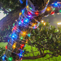 Luz De Cadena LED Solar Para Exterior 20m/10m Decoración De Navidad Jardín Guirnalda De Boda Impermeable Faraón De Hilo De Luces Multicolor Blanco Cálido - details 9