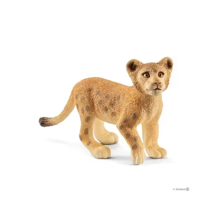 Cachorro de león - 1