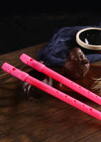 Flute Irlandesa D Tone ABS Profesional Instrumento De Viento De Madera Tradicional Con 6 Agujeros Instrumento Musical - details 1