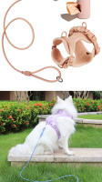 Correa Para Perros Fuerte Y Resistente Con Manija Cómoda Impermeable Y Cubierta De PVC Duradera Para Pequeños Medianos Y Grandes - details 3