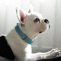 Collar De Cuero Suave Ajustable Para Perros PU Para Pequeños Medianos Y Grandes Raza Pitbull En Rosa Tamaños S-XL - details 7