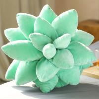 Almohada De Suculento De 25 Cm De Tamaño Plush Creativa Rellena Para Decoración De Hogar Regalos De Cumpleaños Para Niños Regalo De Navidad - details 5