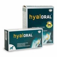 HYALORAL ALIMENTO COMPLEMENTARIO PARA PERROS HYALORAL RAZAS GRANDES 360 Comprimidos - details 1