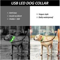 Collar LED Para Perros Ajustable Y Recargable Collar Nocturno Anti-Pérdida Para Pequeños Perros Productos De Mascotas - details 16