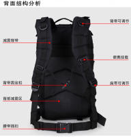 Mochila táctica de ataque 3P mediana, para aficionados militares, para exteriores, para montañismo, con camuflaje, 35 l - details 7