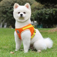Correa Y Arnes Para Perro Y Gato De Malla Transpirable Para Verano Con Reflejos Seguro Para Chihuahua Yorkies Arnes De Cuello Básico Para Mascotas - details 1