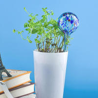 Dispositivo De Riego Automático Para Plantas En Maceta Juego De Vidrio Sfingón Herramienta De Jardín Para El Hogar - details 1