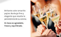 Codorníu Prima Vides - Cava Brut Ecológico - Caja 6 botellas 75cl - details 3