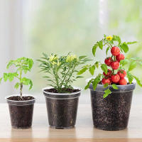 Juego De 5 Macetas De Cultivo Transparentes De Plástico Con Agujeros Para Drenaje Tamaños Variados Para Plantas Y Semillas - details 5