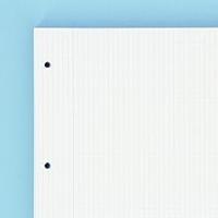 Oxford, 100hojas ,Recambio de Hojas Cuadriculadas A4 Perforadas. 4 Agujeros,  Recambio Archivador, 80+20 Hojas, Cuadrícula 4x4, con Margen, 90g de gramajes. Lineas Azules - details 5