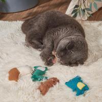 Juguete Interactivo Para Gatos Forma De Ratón Cocodrilo Pollo Suave De Peluche Con Nepote Juguete Masticable Para Mascotas - details 4