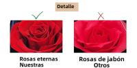 Caja De Rosas Preservadas Con Oso Mini Romántica Para Aniversario Regalo Eterno De Novia Madre Boda Cumpleaños Caja De Regalo De Velours Portátil - details 5